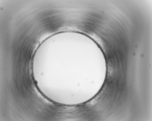 X0000088641382200706221535