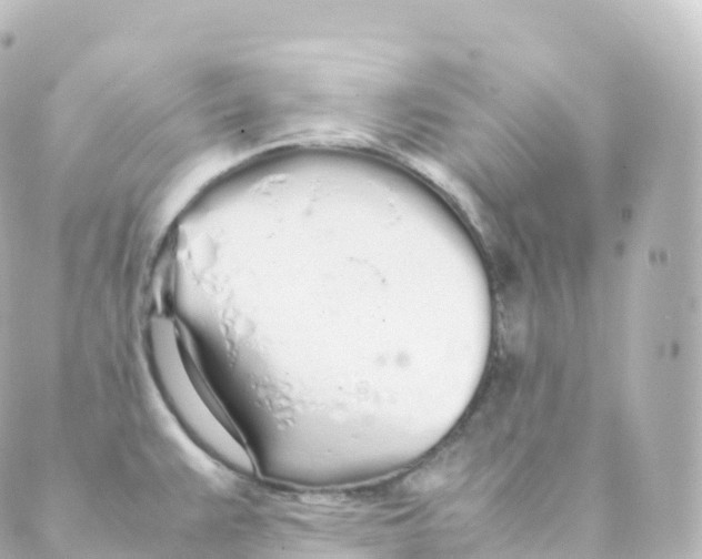 X0000088641383200706221535