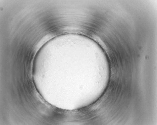 X0000088641386200706221535