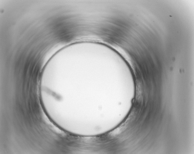 X0000088641390200706221535