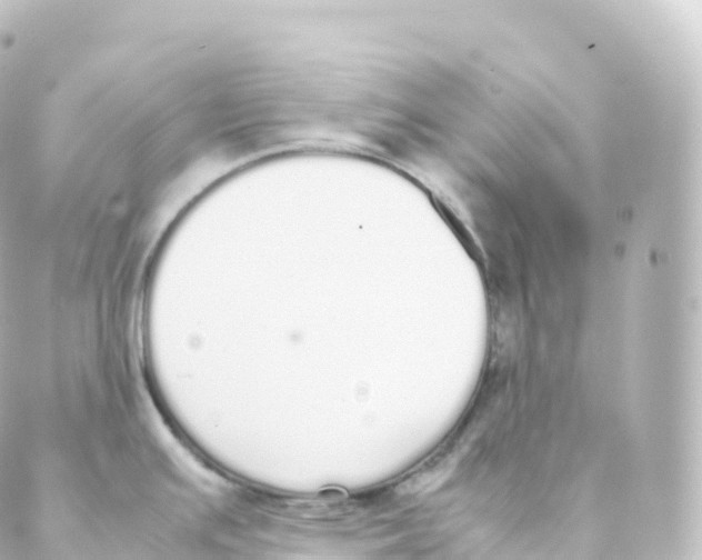 X0000088641391200706221535