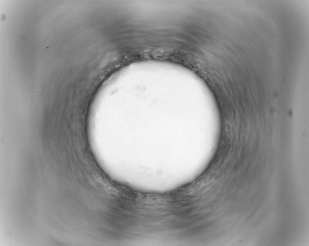 X0000088641393200706221534