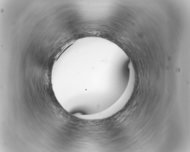 X0000088641394200706221534