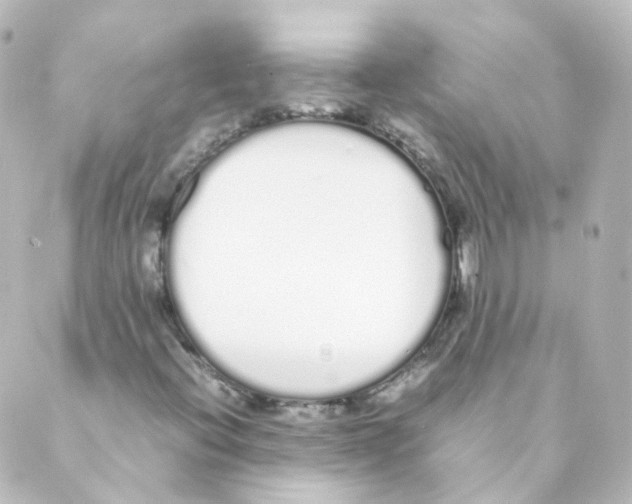 X0000088641396200706221534