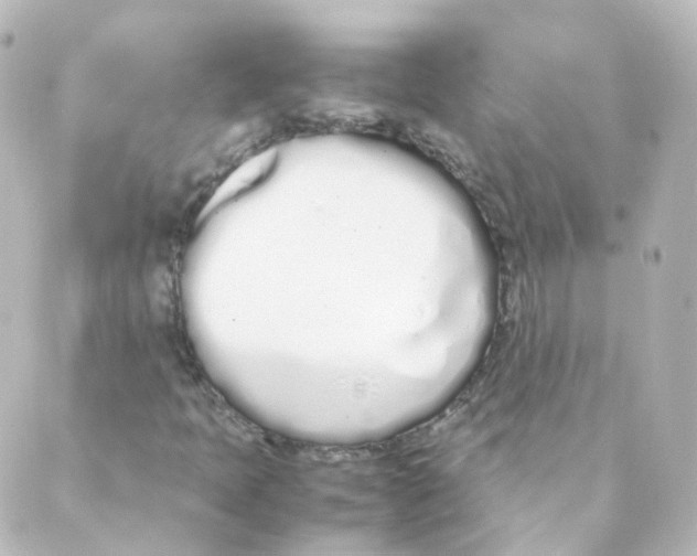 X0000088641397200706221534