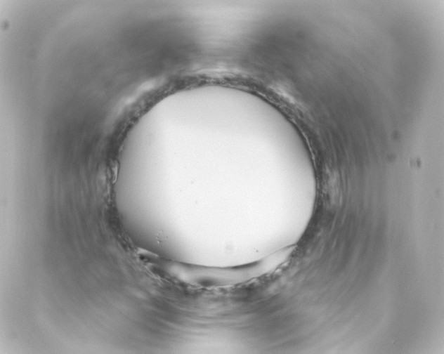 X0000088641398200706221534