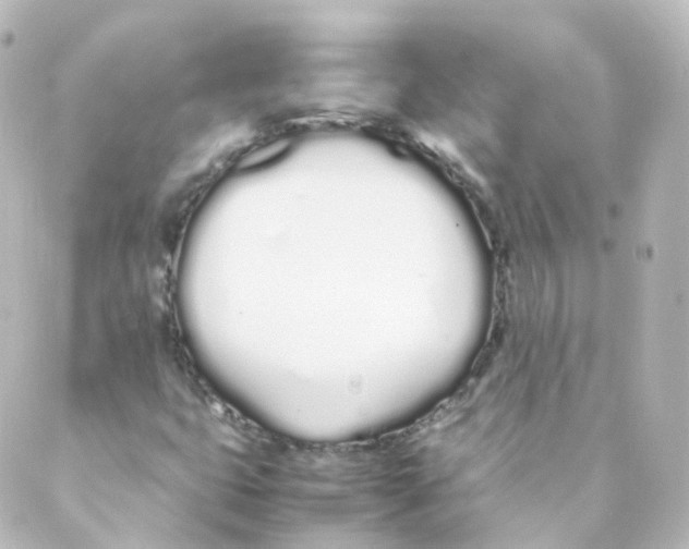 X0000088641399200706221534