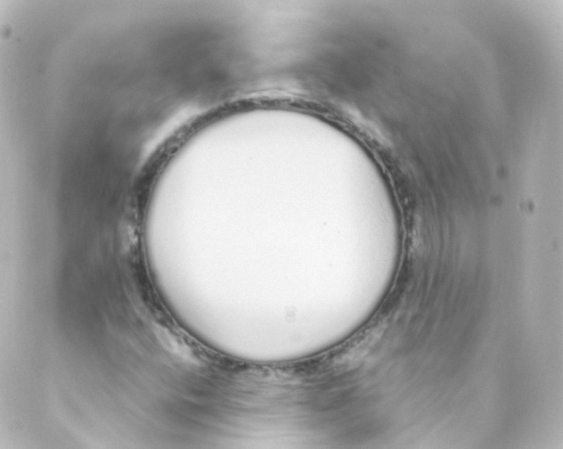 X0000088641400200706221534