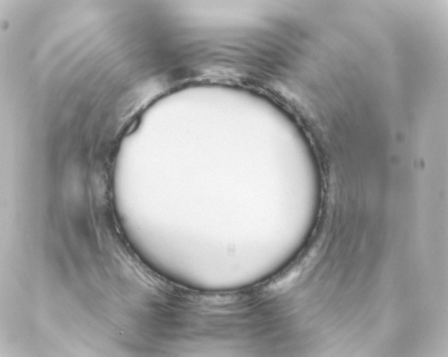 X0000088641401200706221534