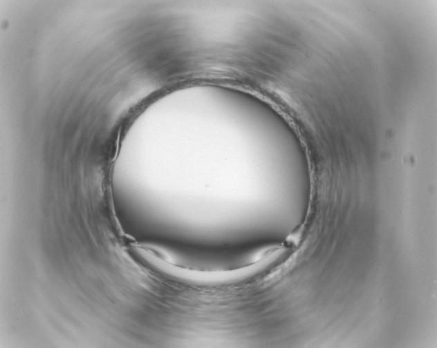 X0000088641402200706221534