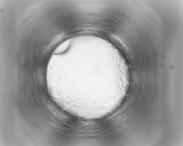 X0000088641403200706221534