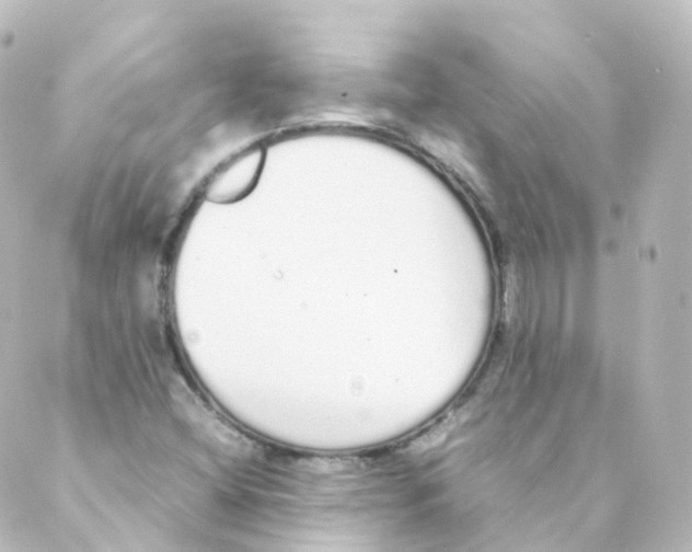 X0000088641404200706221534