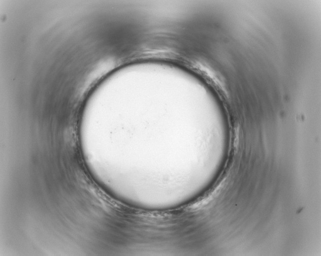 X0000088641405200706221534