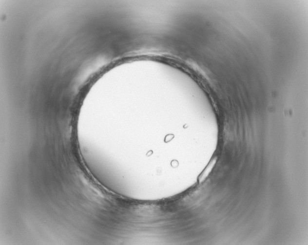 X0000088641406200706221534