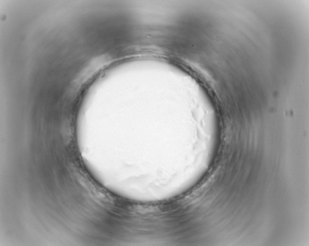 X0000088641407200706221534