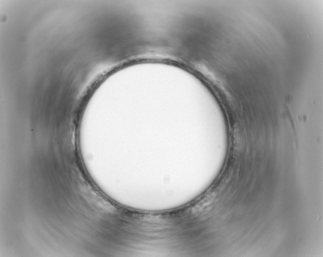 X0000088641408200706221534