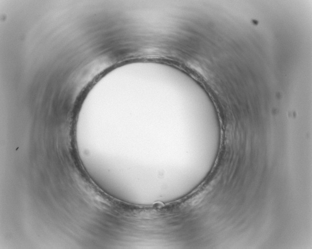 X0000088641410200706221534