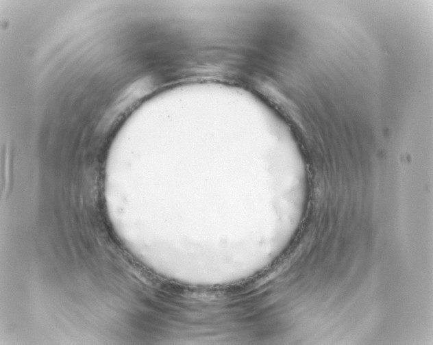 X0000088641411200706221534