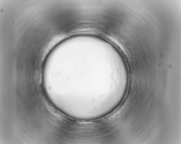 X0000088641413200706221534