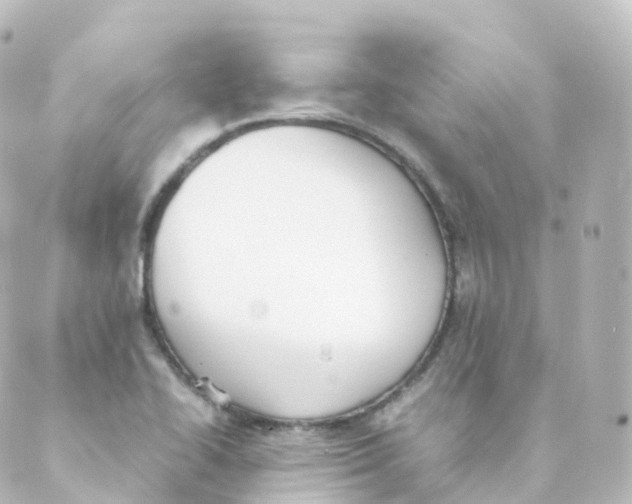 X0000088641414200706221534