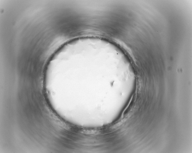 X0000088641415200706221534