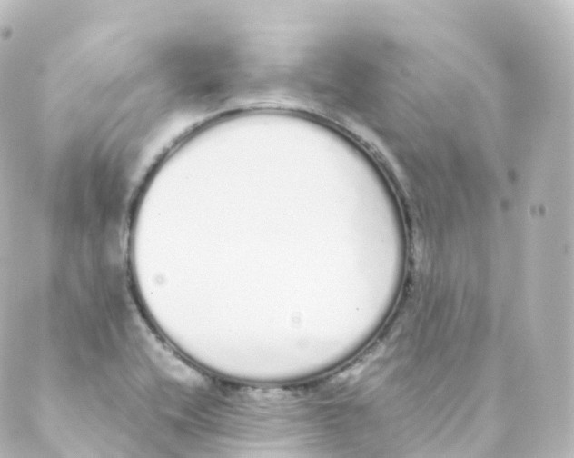 X0000088641416200706221534