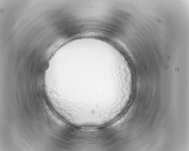 X0000088641417200706221534