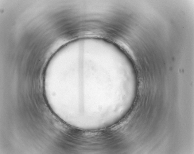 X0000088641419200706221534