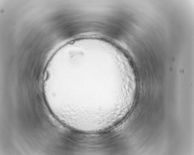 X0000088641421200706221534