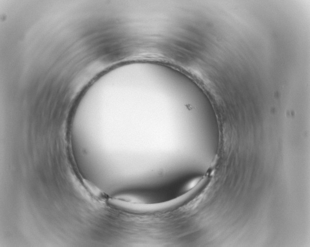 X0000088641422200706221534