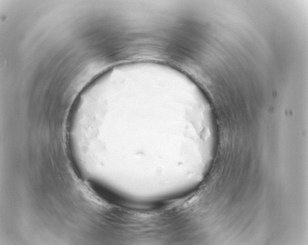 X0000088641423200706221534