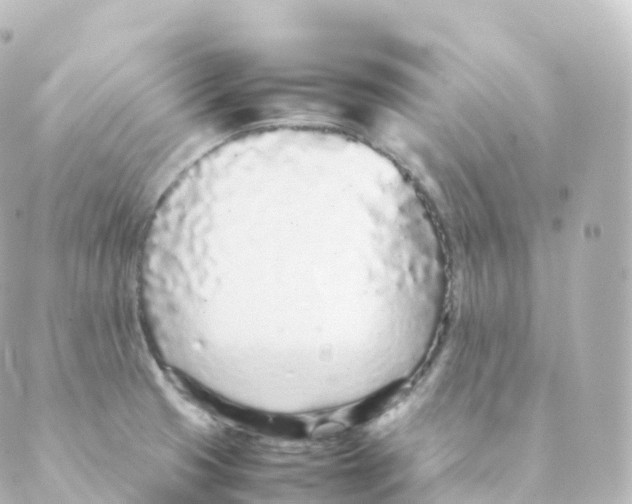 X0000088641425200706221534