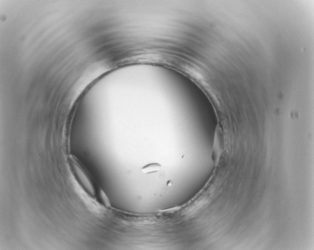 X0000088641426200706221534