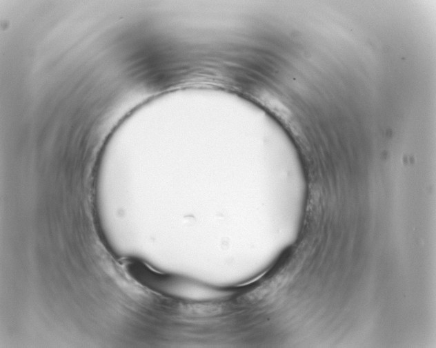 X0000088641427200706221534