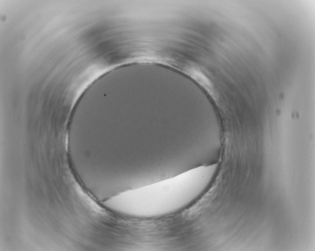 X0000088641428200706221534