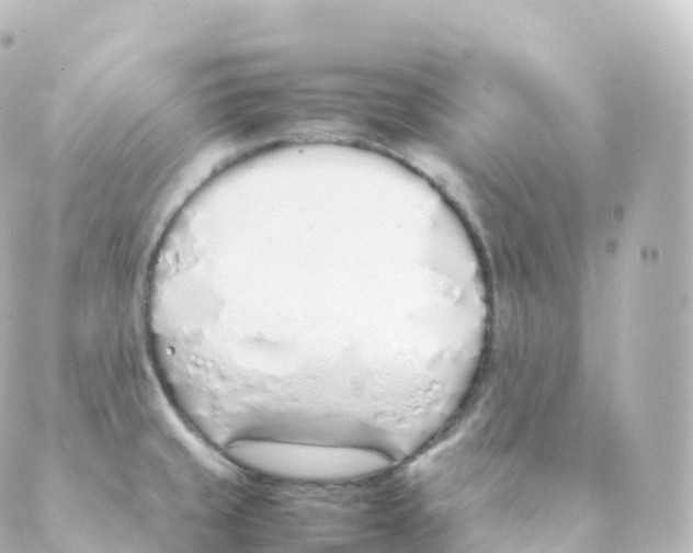 X0000088641429200706221534