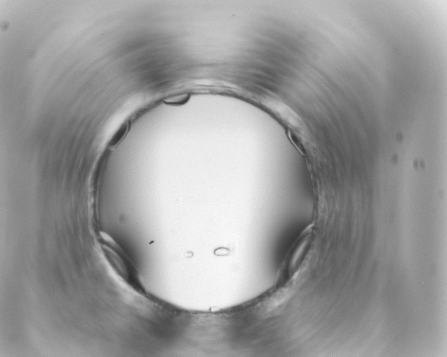 X0000088641430200706221534