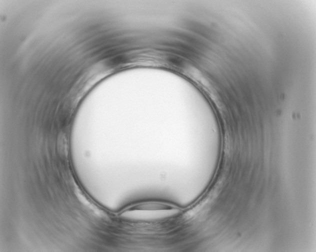 X0000088641433200706221535