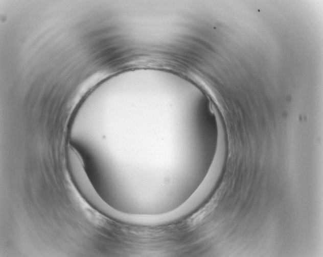 X0000088641434200706221535