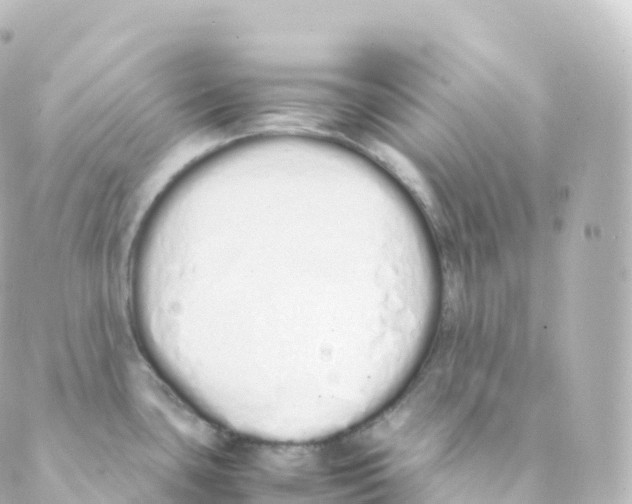 X0000088641435200706221535