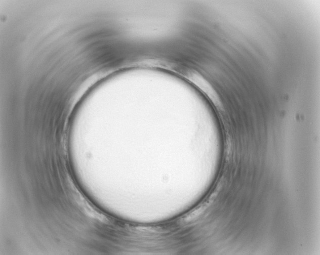 X0000088641436200706221535