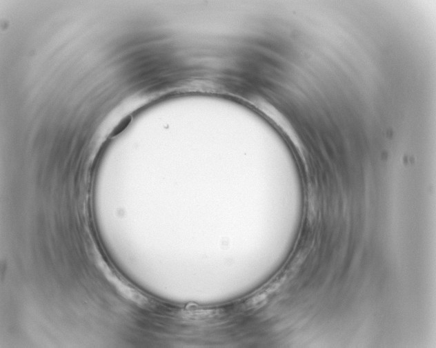 X0000088641437200706221535