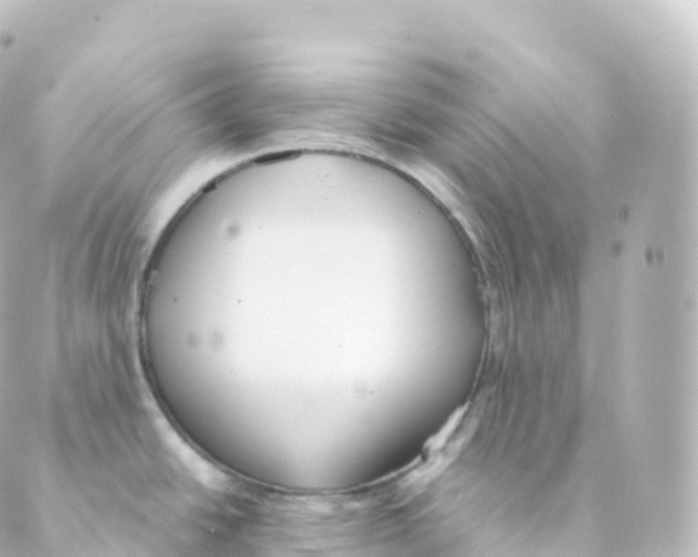 X0000088641438200706221535