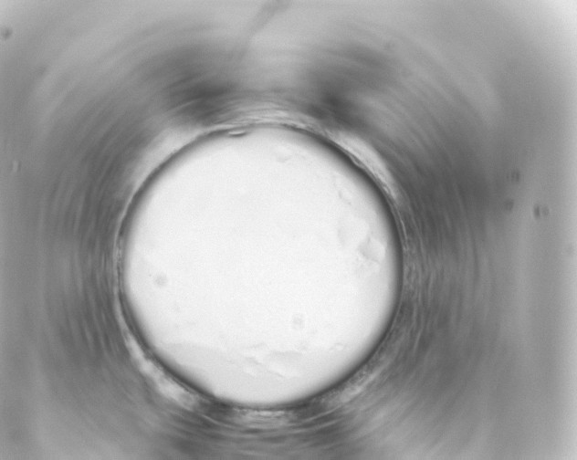 X0000088641439200706221535