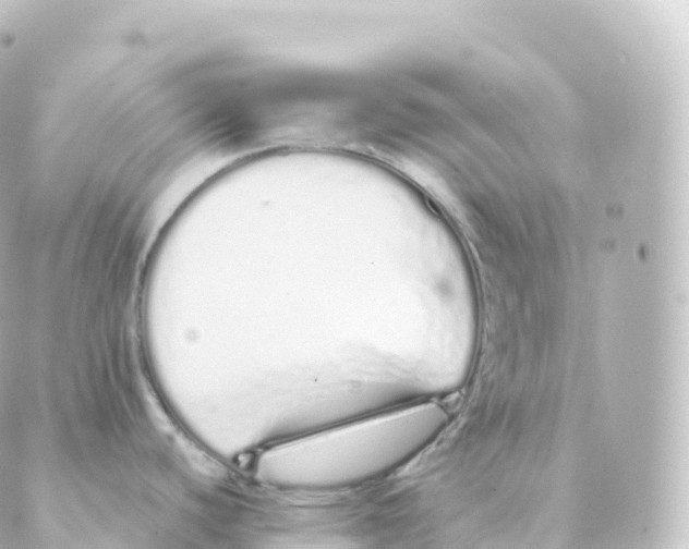 X0000088641440200706221535