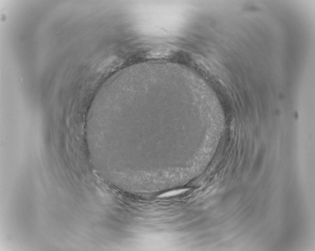 X0000088641441200706221534