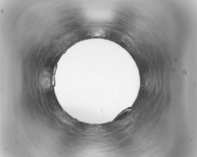 X0000088641442200706221534