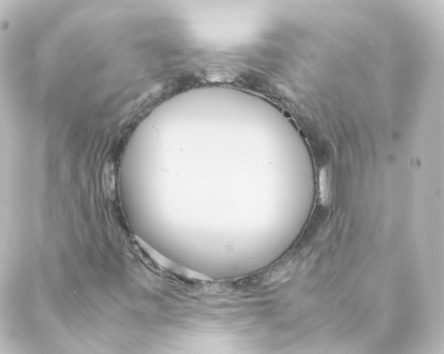 X0000088641443200706221534