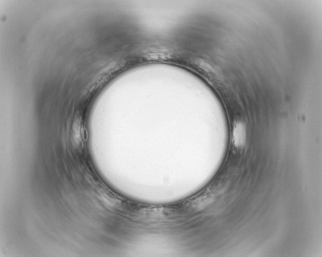 X0000088641444200706221534