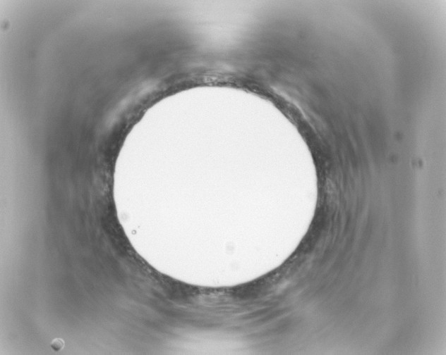 X0000088641447200706221534